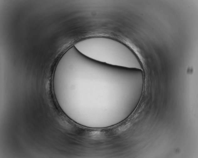 X0000103330153200809051030