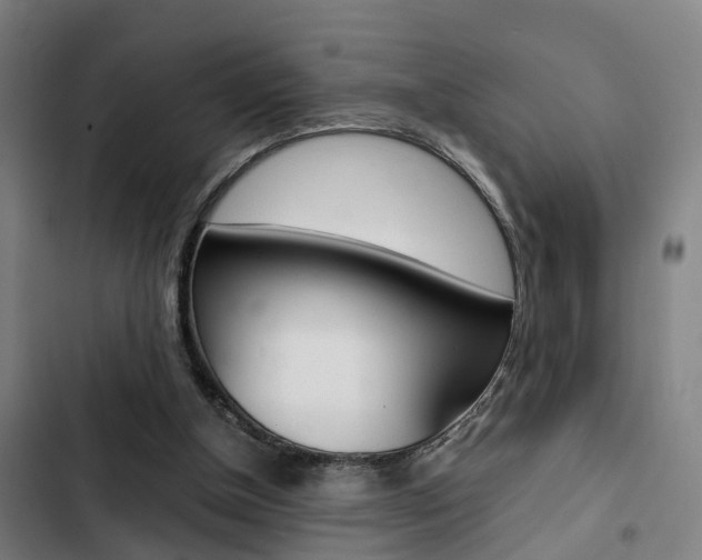 X0000103330154200809051030