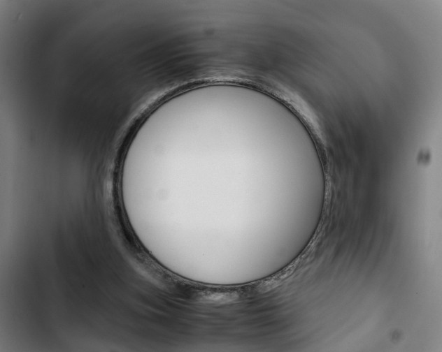 X0000103330155200809051030