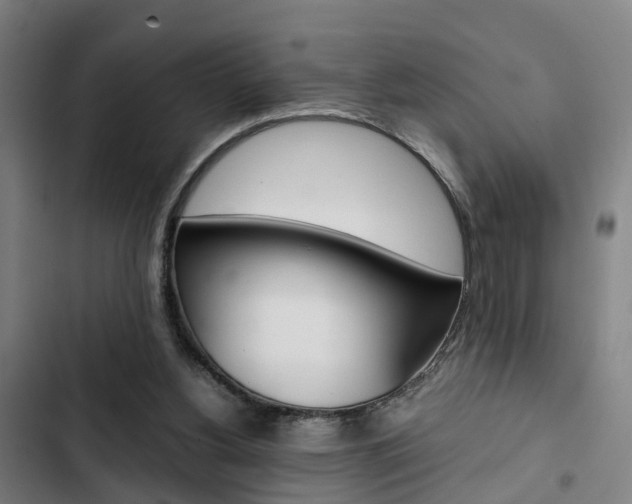 X0000103330156200809051030