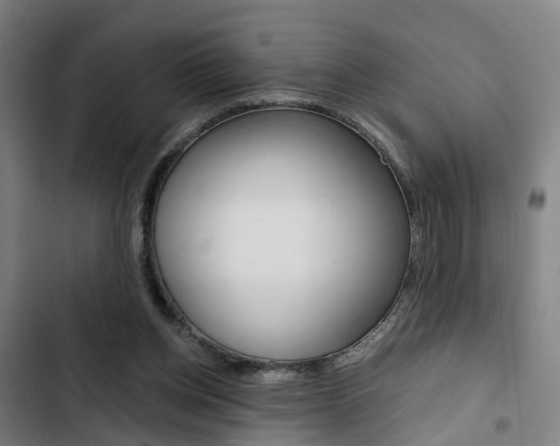 X0000103330158200809051030