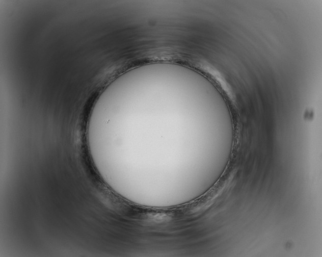 X0000103330161200809051030