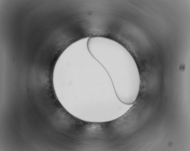 X0000103330162200809051030