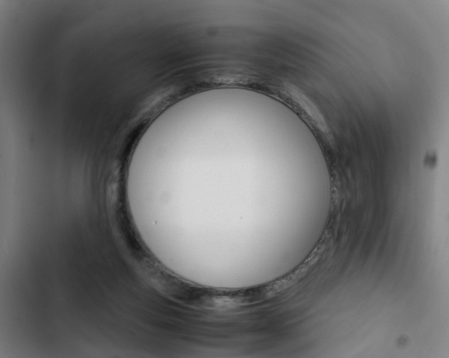 X0000103330163200809051030