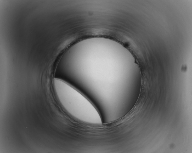 X0000103330164200809051030