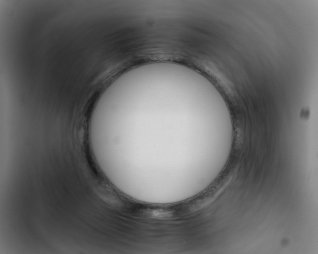 X0000103330165200809051030