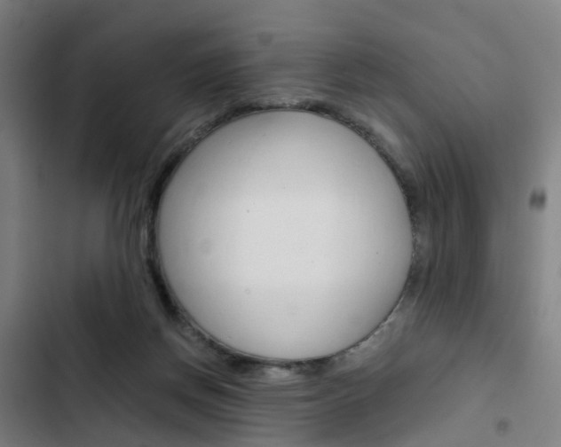 X0000103330166200809051030