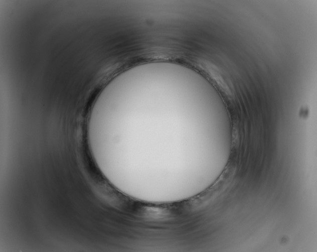 X0000103330167200809051030