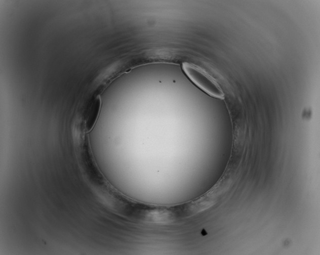 X0000103330168200809051030