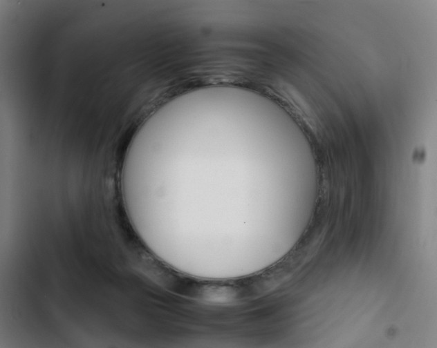 X0000103330169200809051030