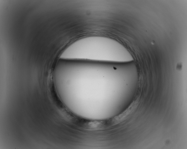 X0000103330172200809051030