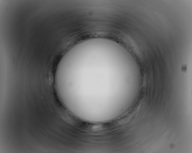 X0000103330173200809051030
