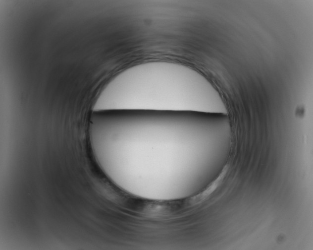 X0000103330174200809051030