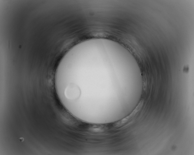 X0000103330175200809051030