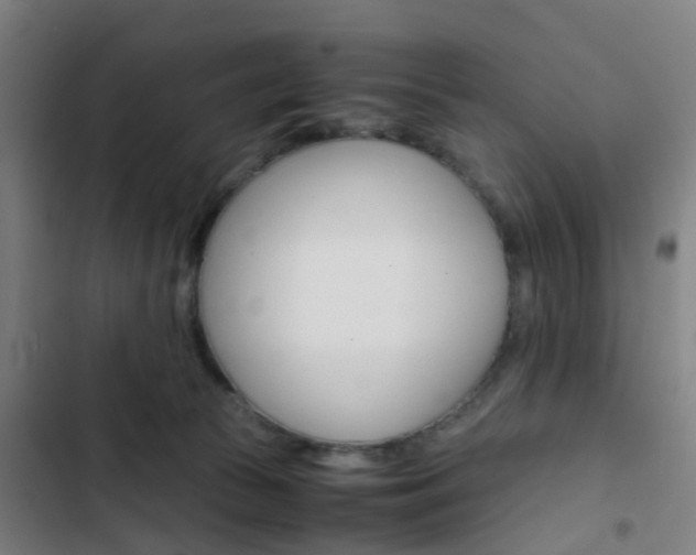 X0000103330177200809051030