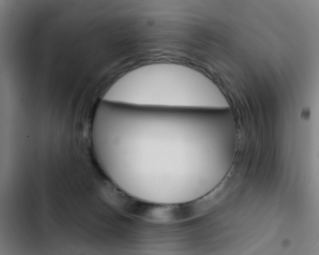 X0000103330178200809051030