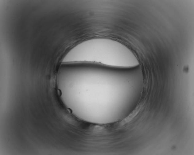 X0000103330180200809051030