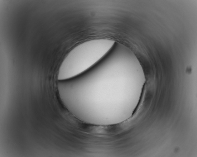 X0000103330182200809051030