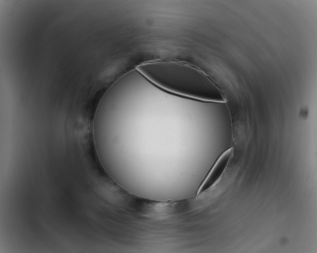 X0000103330184200809051030
