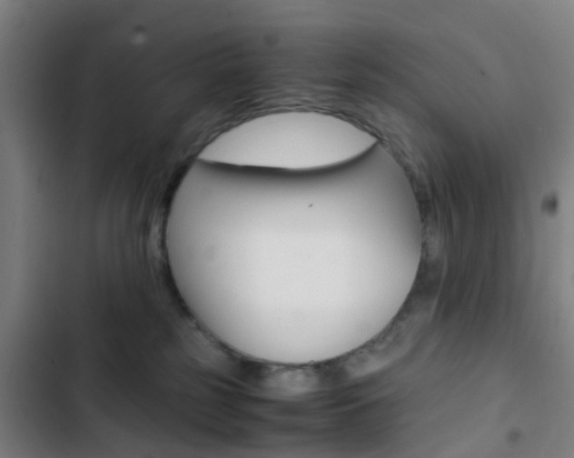 X0000103330185200809051030
