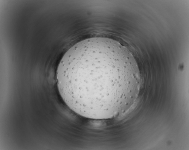 X0000103330187200809051030