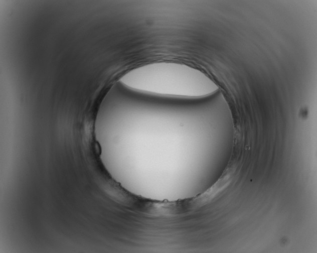 X0000103330188200809051030