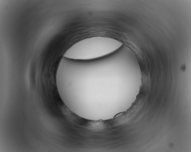 X0000103330189200809051030