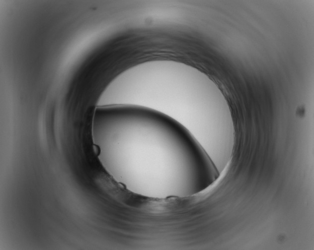 X0000103330190200809051030