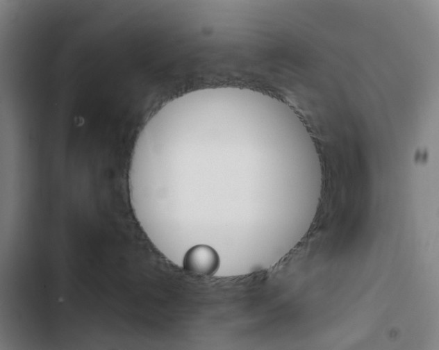 X0000103330192200809051030
