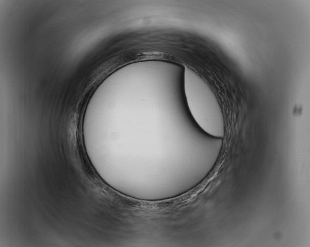 X0000103330194200809051030