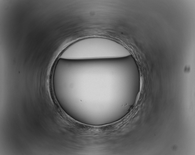 X0000103330195200809051030