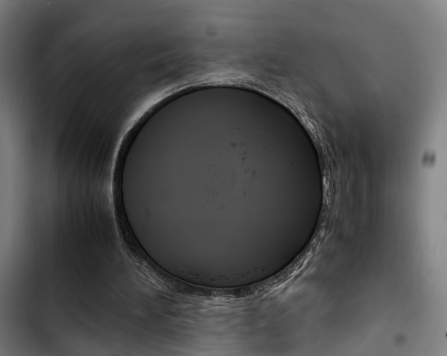X0000103330196200809051030