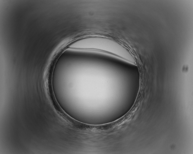 X0000103330197200809051030