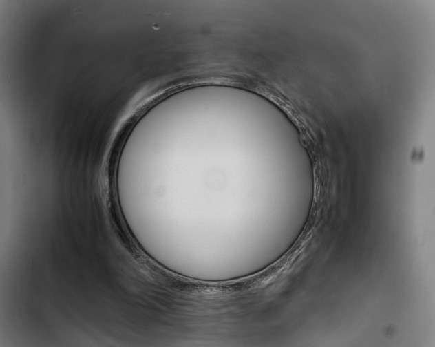 X0000103330198200809051030