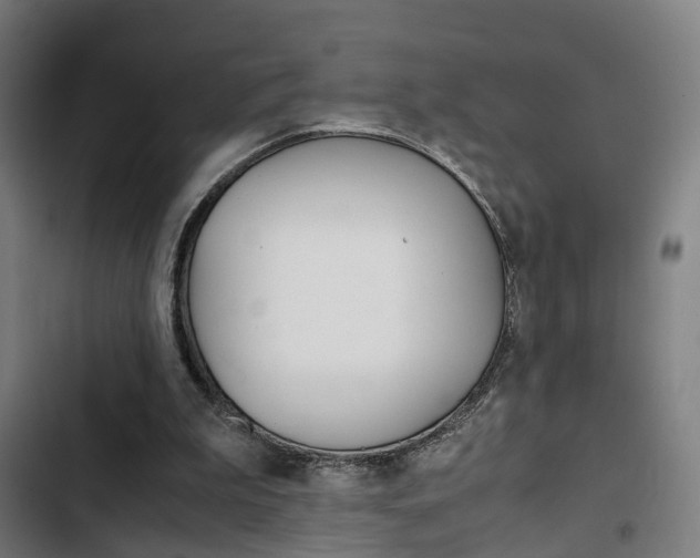 X0000103330199200809051030