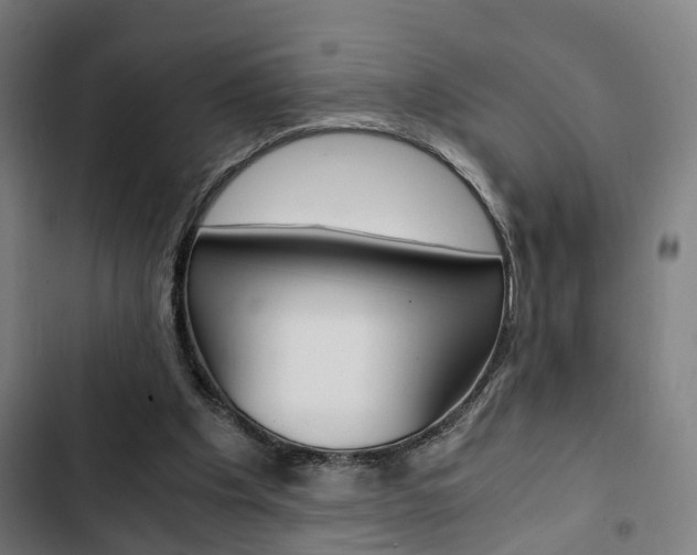 X0000103330201200809051030