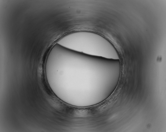 X0000103330202200809051030