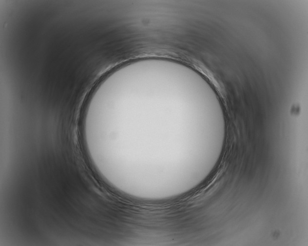 X0000103330203200809051030