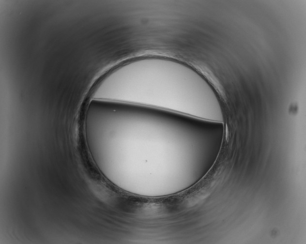 X0000103330204200809051030