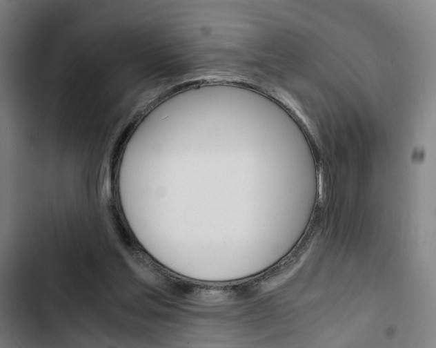 X0000103330205200809051030