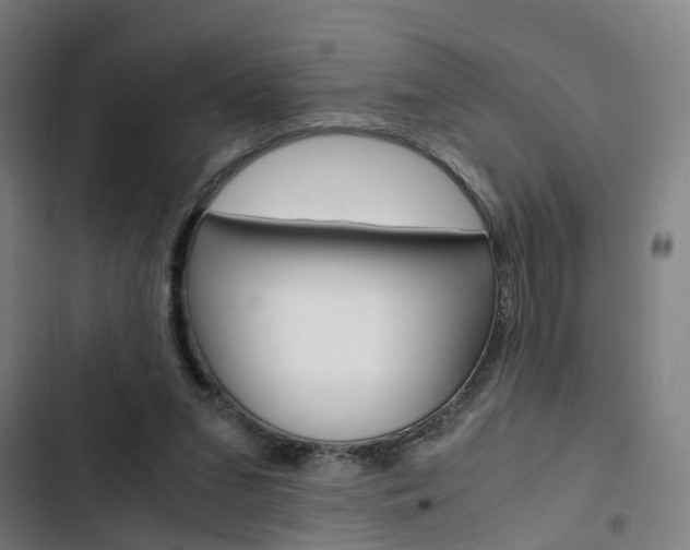 X0000103330207200809051030