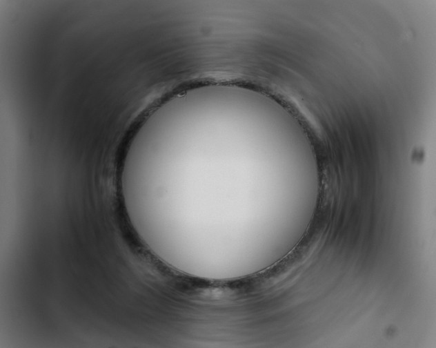 X0000103330212200809051030