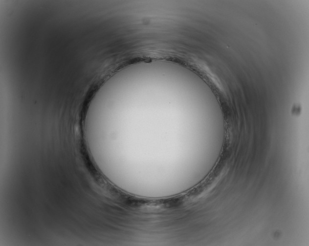 X0000103330213200809051029