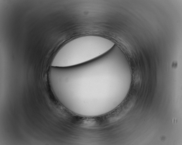 X0000103330214200809051029