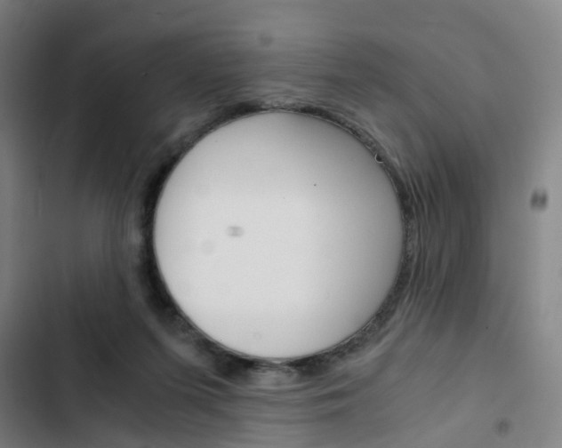X0000103330215200809051029