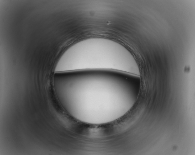 X0000103330216200809051029
