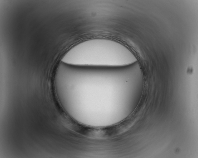 X0000103330217200809051029