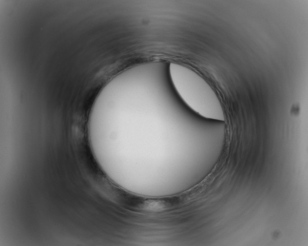 X0000103330218200809051029