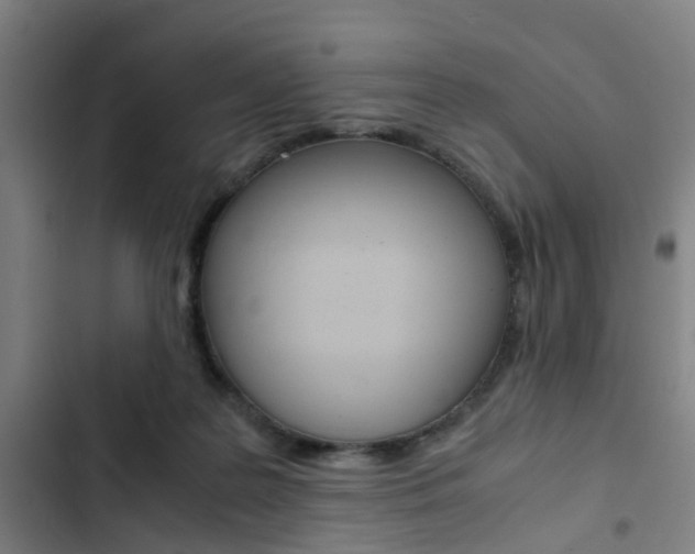X0000103330219200809051029