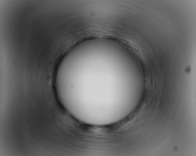 X0000103330221200809051029